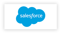 Salesforce partner